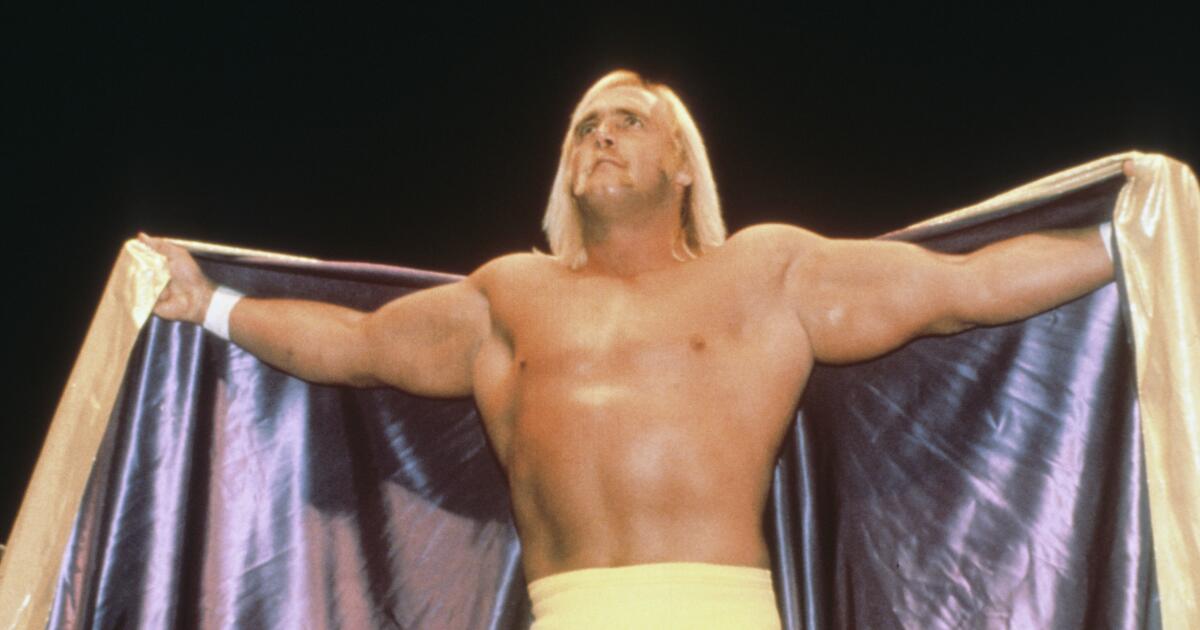 Hulk Hogan dies: The rise and fall of a wrestling icon