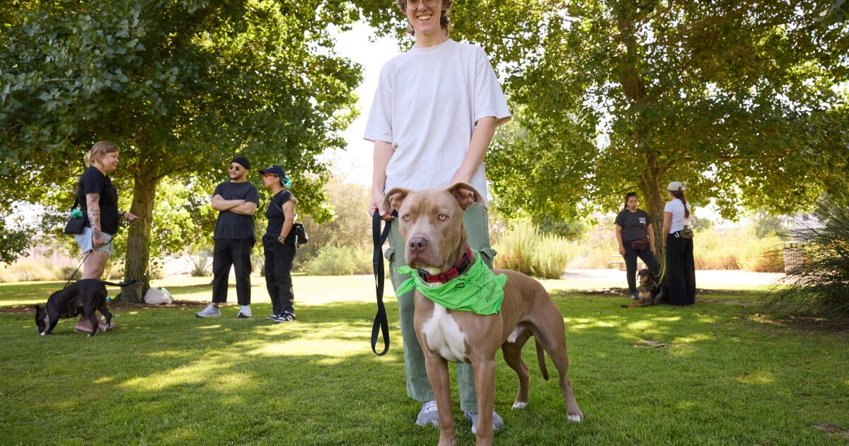 Dog Coalition L.A. saves shelter dogs while building human friendships