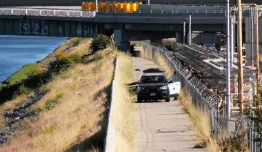 Entire group goes into L.A. River; one adult, a dog drown