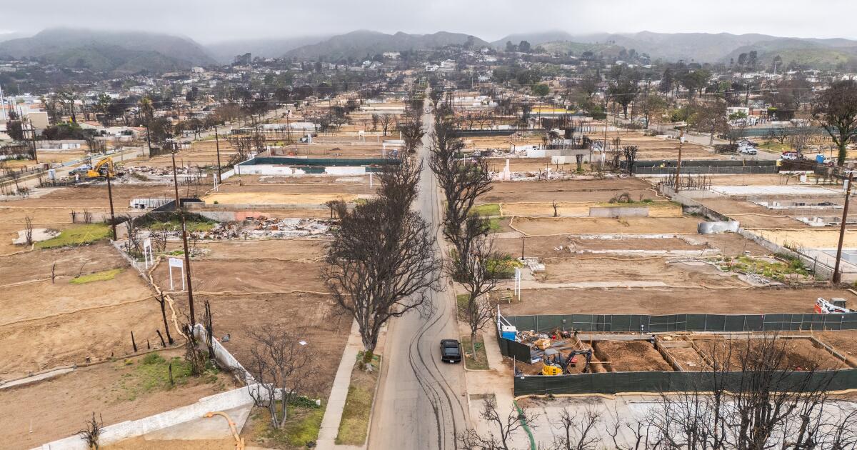 Los Angeles to halt 'disaster tourism' buses in Palisades fire zone