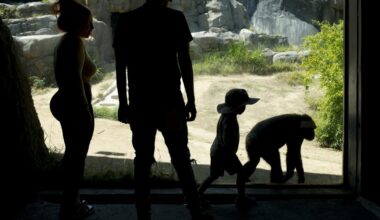 Inside the L.A. Zoo's messy $50-million breakup