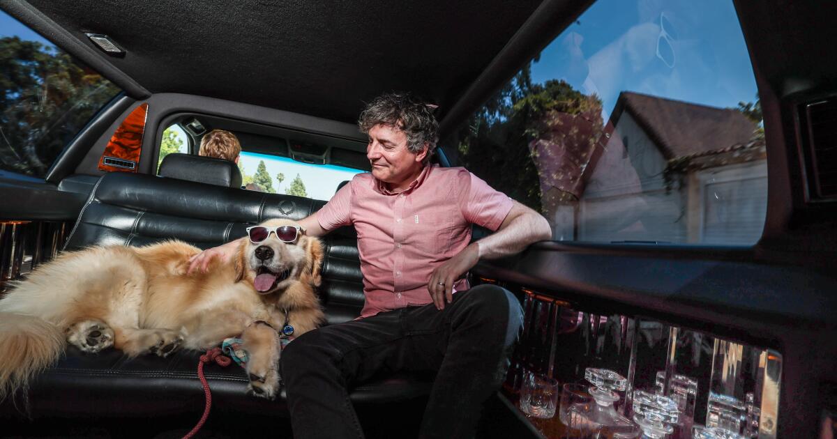 Inside the wild word of dog wellness in Los Angeles