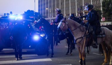 L.A. protesters charged with assaulting horses, attempted murder