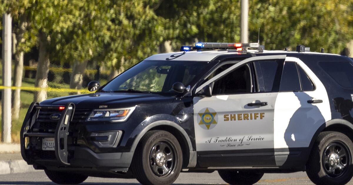 Man mauled to death by pit bulls in L.A. County backyard, police say