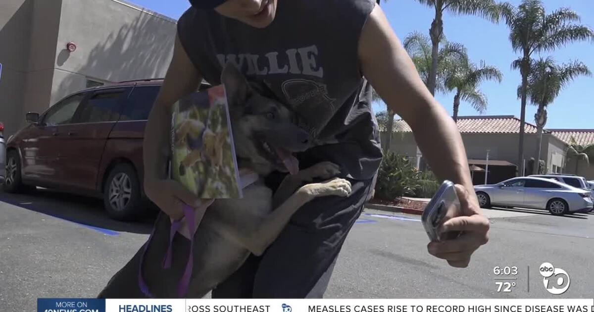 Stray animals brought to San Diego Humane Society after July 4th fireworks