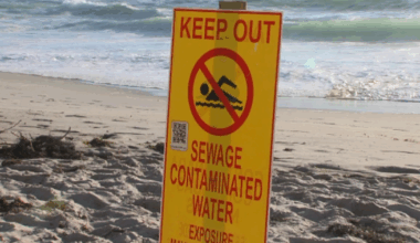 Scripps unveils website forecasting sewage contamination at San Diego beaches