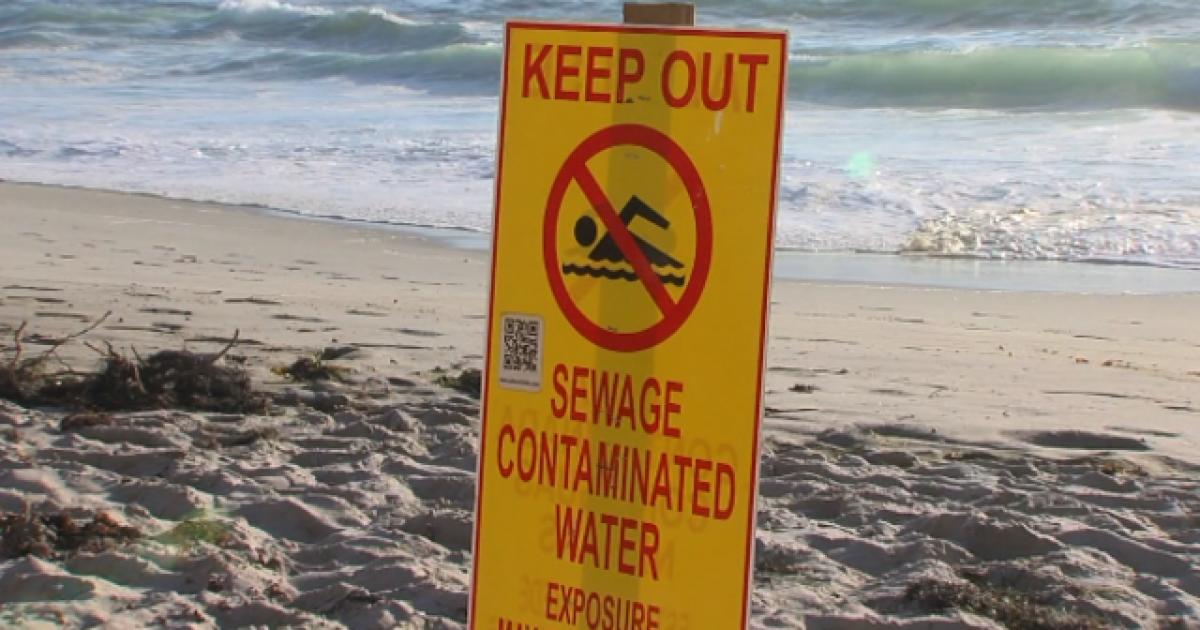 Scripps unveils website forecasting sewage contamination at San Diego beaches