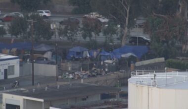 Sweep targets large homeless encampment in Van Nuys – NBC Los Angeles