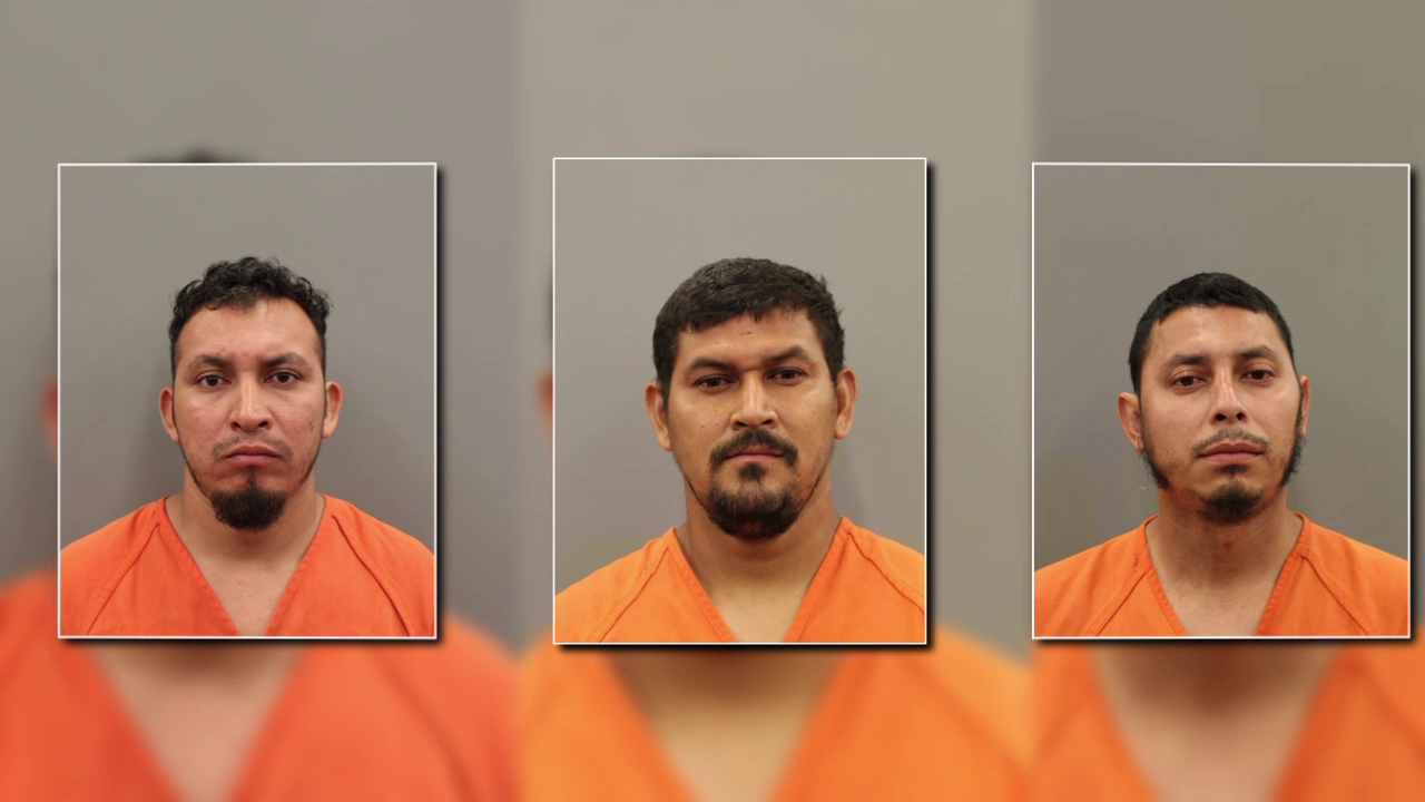 3 undocumented migrants charged in online sex crimes