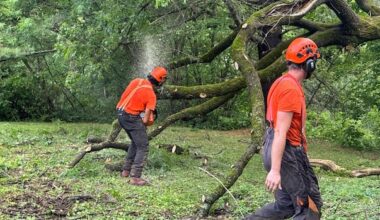Thunderstorms take out trees, power in Outaouais, eastern Ontario
