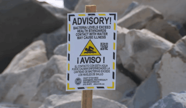 These San Diego County beaches are under water quality advisories – NBC 7 San Diego