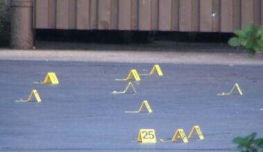 Chicago mass shooting leaves 7 hurt in Back of the Yards – NBC Chicago