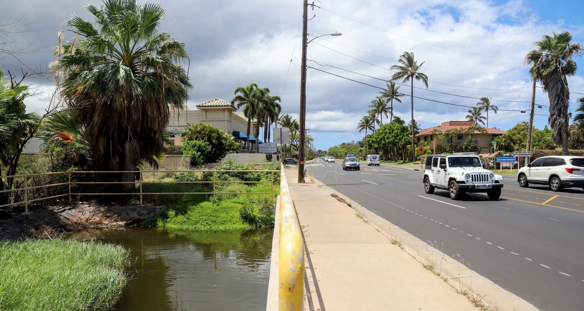 Hawaiʻi’s Wetlands Are Vanishing. This Failed Plan Offers A Warning