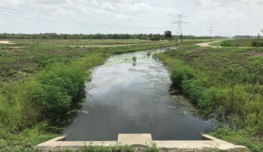 Above-average rainfall keeps drought at bay, fills lakes as North Texas temperatures rise