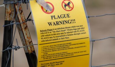 Northern Arizona resident dies from plague
