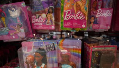 Less selection, higher prices: How tariffs are shaping the holiday shopping season