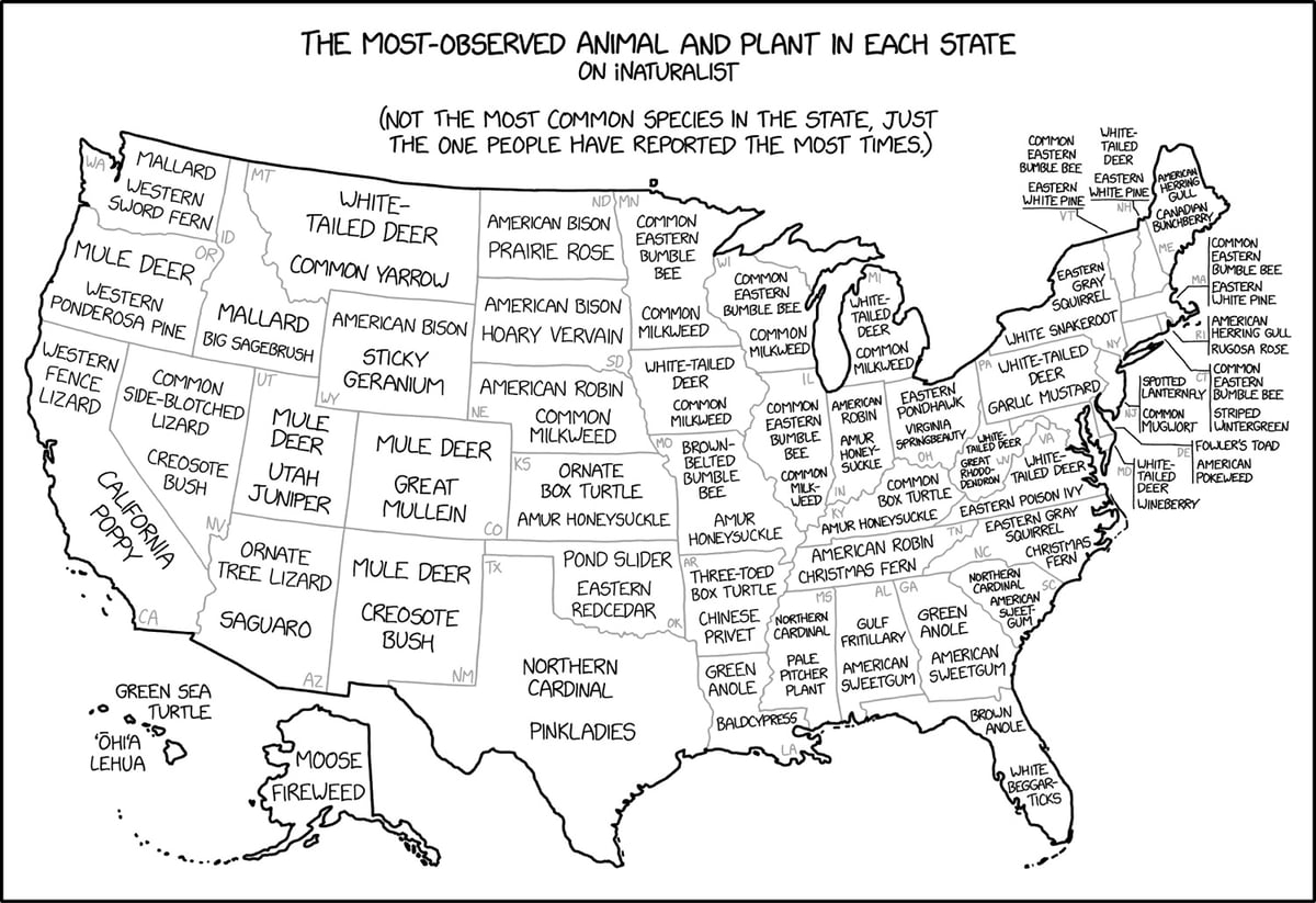 The Most Observed Plants & Animals in Each US State