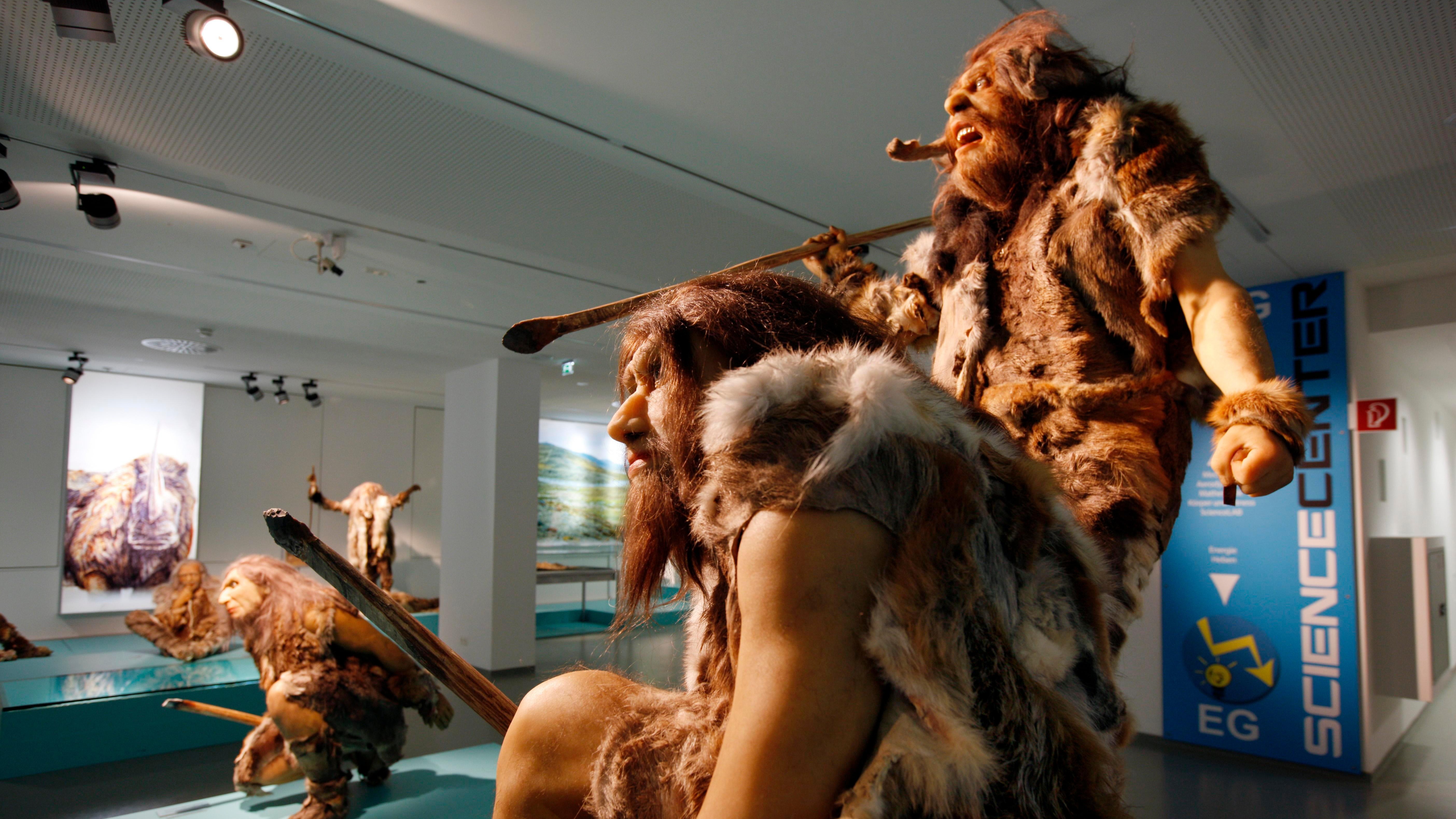 The statues model how Neanderthals may have looked.