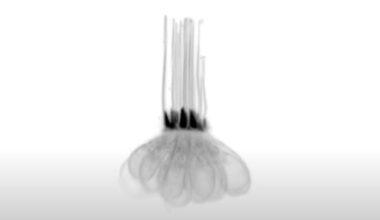 Regenerative Medicine for Hearing Loss: New Gene Clues