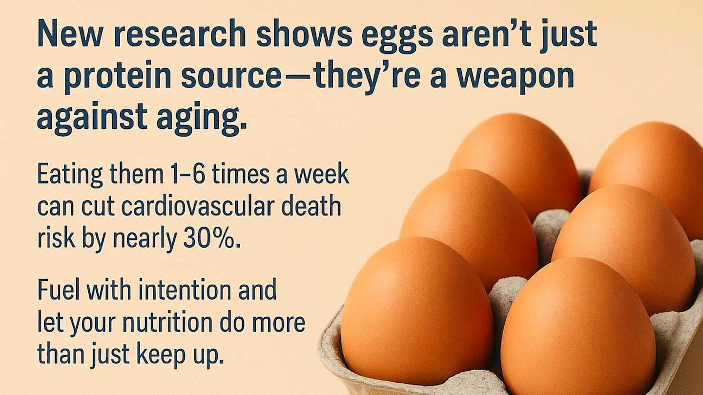 Eggs Linked to Lower Death Risk and Longevity Gains in New Aging Study