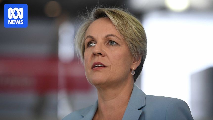 Commonwealth unlikely to stop Victoria's work from home laws, Tanya Plibersek indicates
