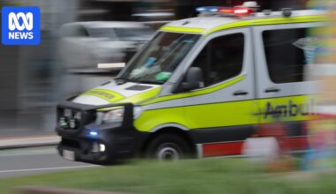 Teenager taken to Townsville hospital after snake bite