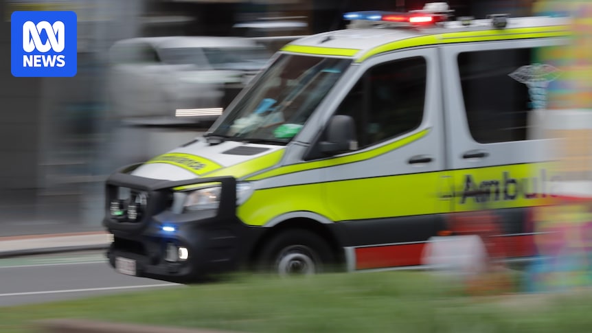Teenager taken to Townsville hospital after snake bite