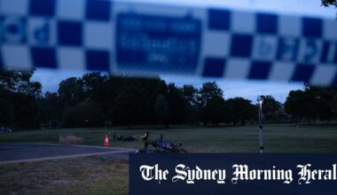 Man critically injured, boy arrested after stabbing at popular Sydney park