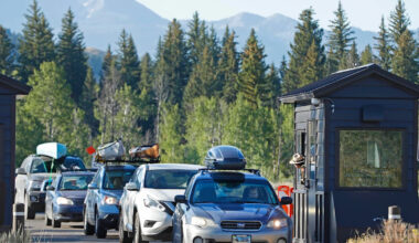 Hundreds may have been exposed to rabies after bat colony found inside Grand Teton lodge