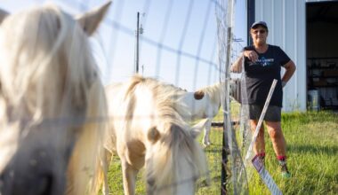 Rural Texas uses THC for health and economy
