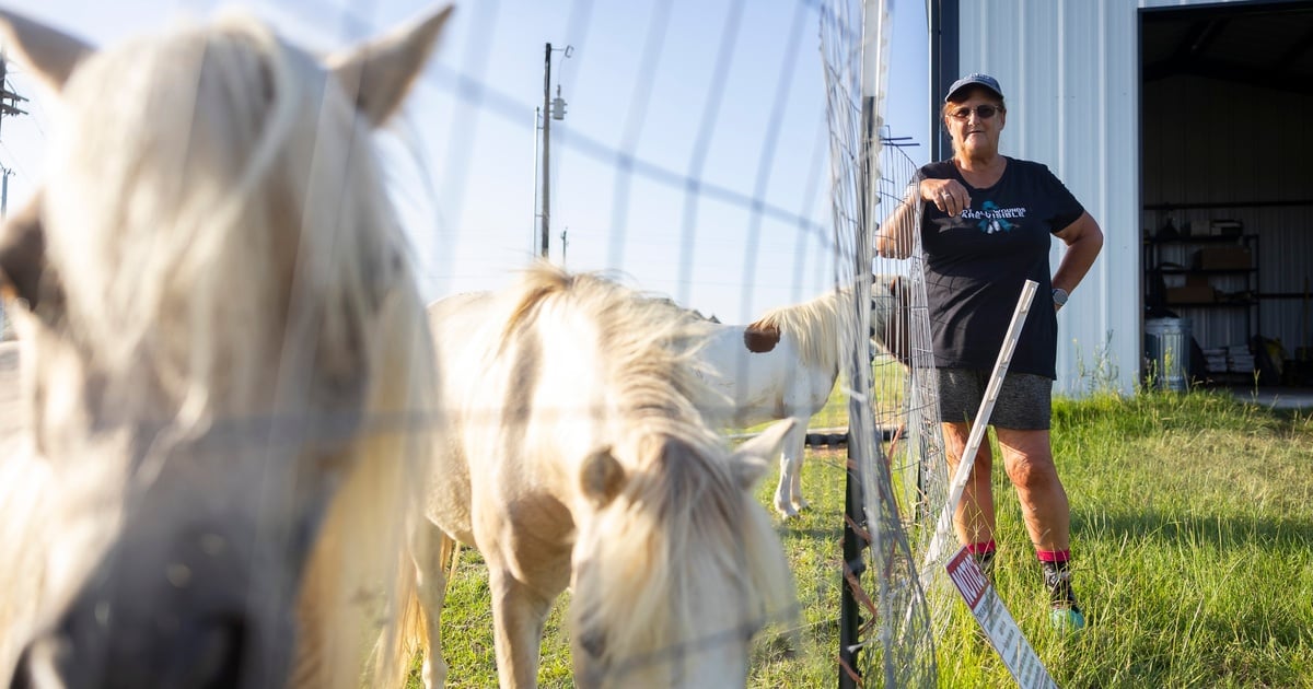 Rural Texas uses THC for health and economy