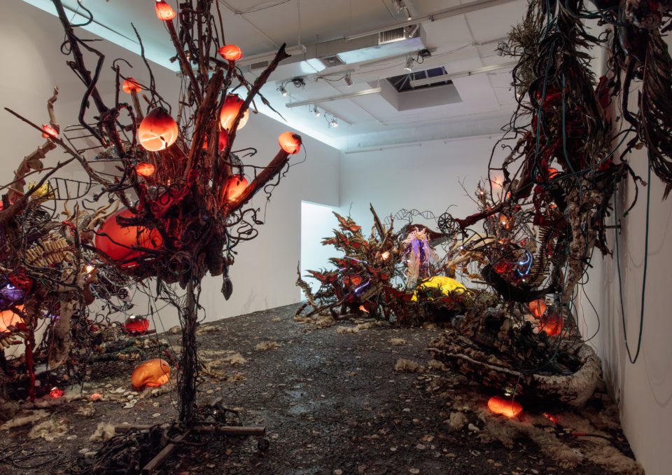 An installation filled with refuse.