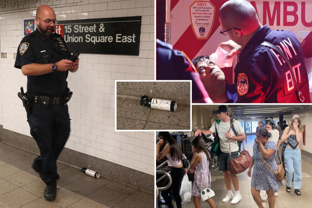 Mask-wearing biker unleashes bear spray during NYC subway clash