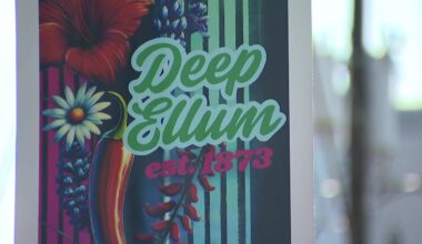 Dallas leaders announce short-term plan to curb Deep Ellum crime