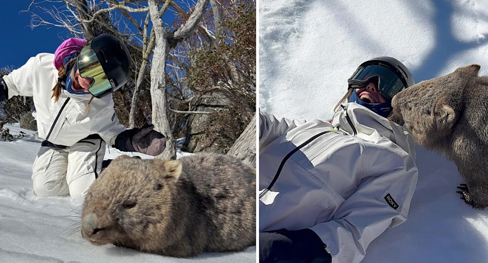 Claude poses behind a wombat sitting on the snow (left) and she lies down on her back as the wombat sniffed her face (right). 