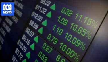 Investors 'not quite euphoric' but close, as share market rollercoaster roars on