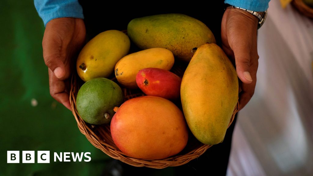 Indian trials debunk sweet myths
