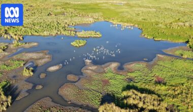 Halt on all environmental water flows in NSW angers land managers