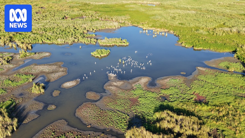 Halt on all environmental water flows in NSW angers land managers