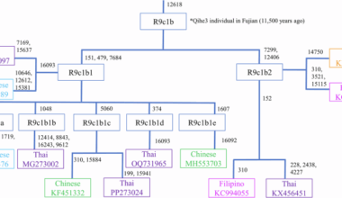 Genetic insights into the origin, admixture, and migration of the early Austronesian peoples