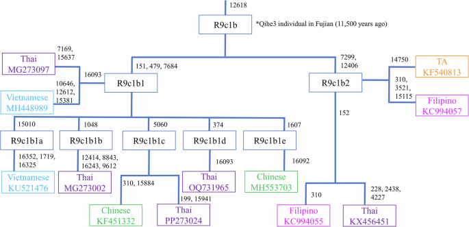 Genetic insights into the origin, admixture, and migration of the early Austronesian peoples