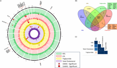 Early lipid genetics: identification of common and rare genetic variants for lipid traits in Indian adolescents