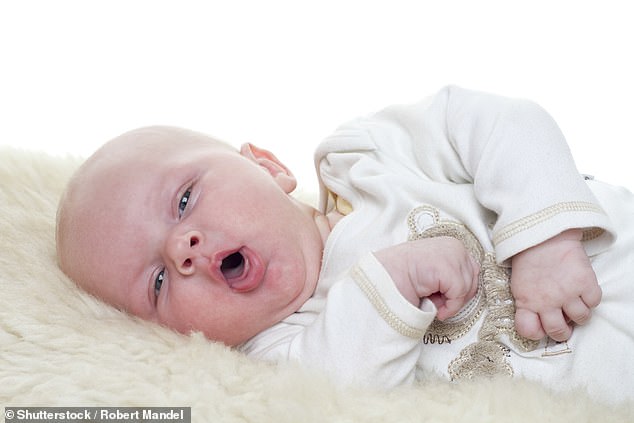Whooping cough triggers such severe coughing fits followed by a 'whooping' sound in the chest that patients may vomit or even fracture ribs. Nearly one in three infected babies requires hospitalization (stock)