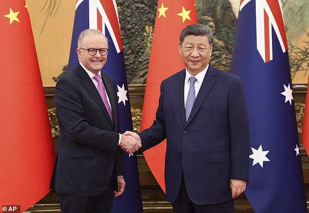 McKell Institute chief executive Ed Cavanough warns that unless the Federal Government takes urgent action, Australia risks losing its foothold in critical mineral processing. Anthony Albanese is pictured with Chinese President Xi Jinping