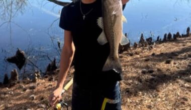 Body found in search for Florida teen who mysteriously vanished after sending two-word text to his mom