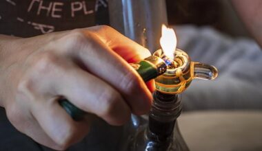 A new report have found a concerning link between cannabis use and the development of mental health disorders (Stock Image)