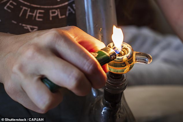 A new report have found a concerning link between cannabis use and the development of mental health disorders (Stock Image)
