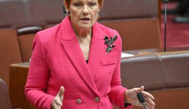 Pauline Hanson (pictured) has called for an audit after 1254 Indigenous companies failed to lodge important reports with the Office of the Registrar of Indigenous Corporations