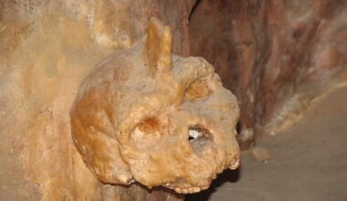 The Petralona skull was found sticking to the wall in a small cavern of the cave back in 1960. A new study now provides a precise age estimate for the nearly complete cranium
