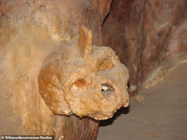The Petralona skull was found sticking to the wall in a small cavern of the cave back in 1960. A new study now provides a precise age estimate for the nearly complete cranium